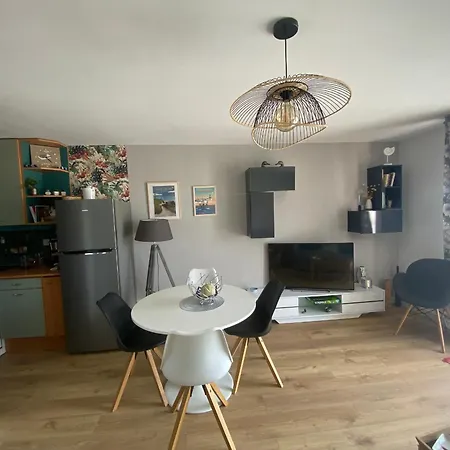 Lumineux Face Mer, 3p, Garage, Proche Et Commerces - - Fr-1-364-155 アパート